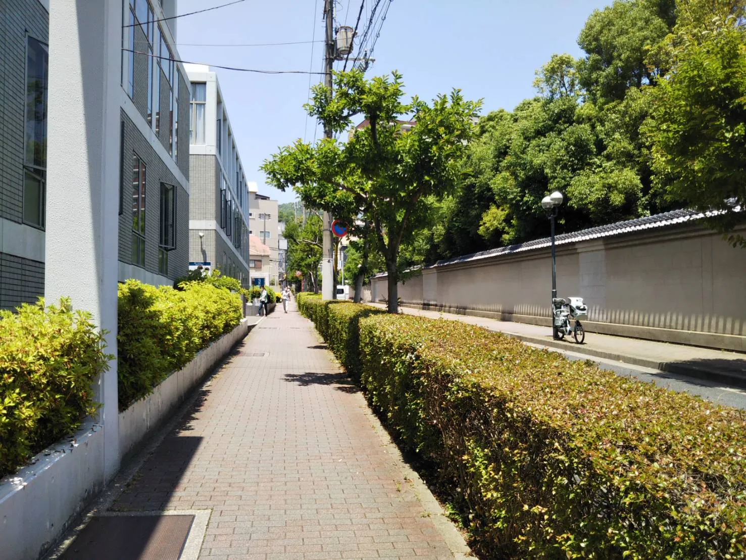 神戸市立相楽園西側の歩道