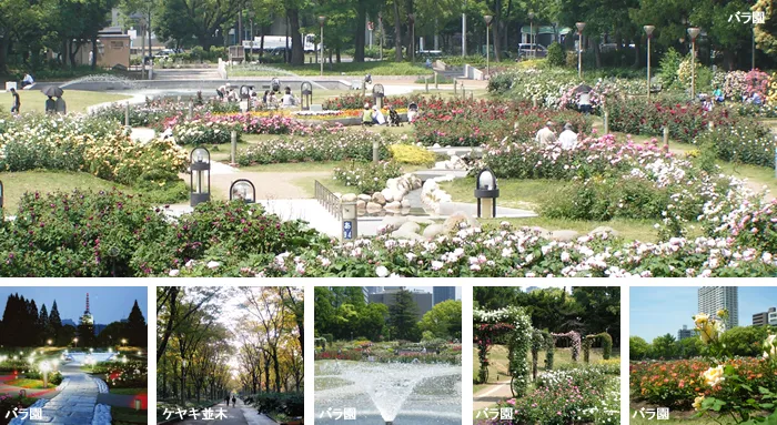 うつぼ公園写真・大阪市花と緑の情報サイト