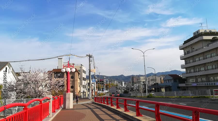 景色に映える「新川橋」